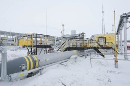 Непосредственно объект исследования Image